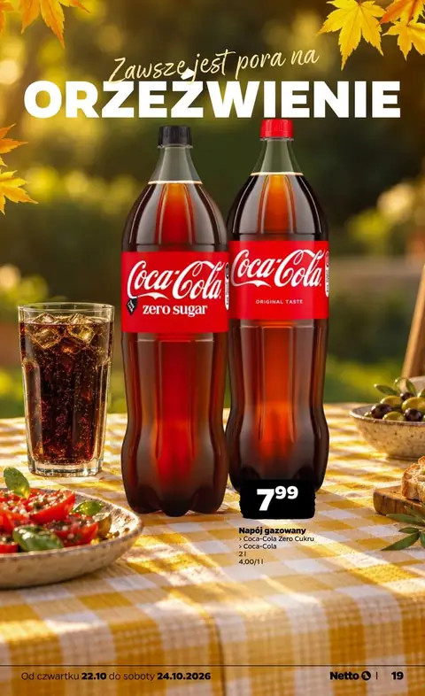 Netto gazetka promocyjna 22.10-24.10.2026 — strona 19 z 26