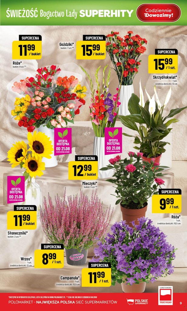 POLOmarket gazetka promocyjna 19.08-25.08.2026 — strona 9 z 66