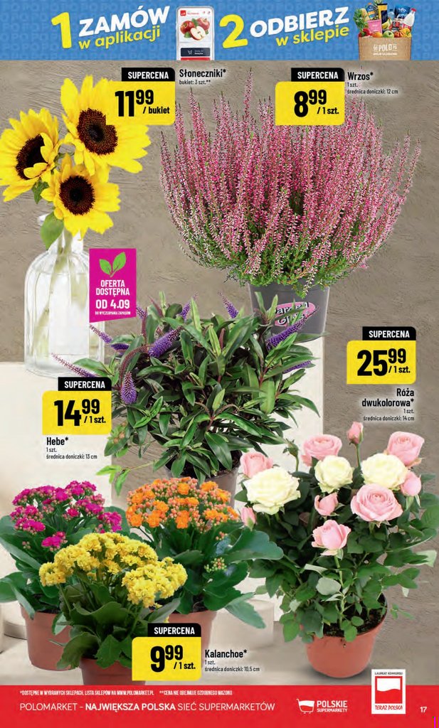 POLOmarket gazetka promocyjna 02.09-08.09.2026 — strona 17 z 70