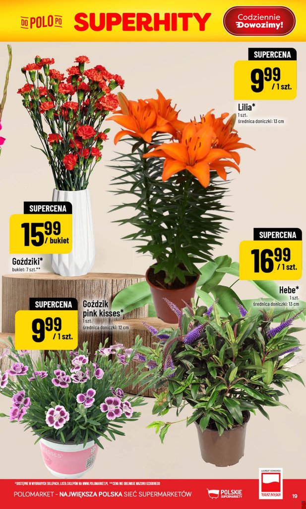 POLOmarket gazetka promocyjna 05.08-11.08.2026 — strona 19 z 76