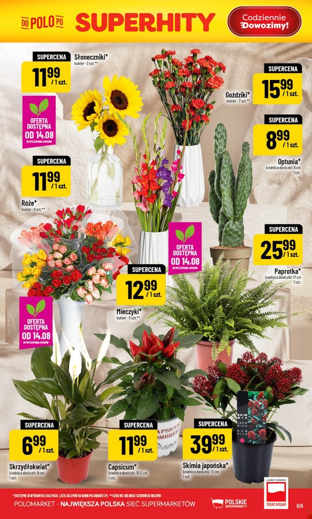 POLOmarket gazetka promocyjna 12.08-18.08.2026 — strona 65 z 68