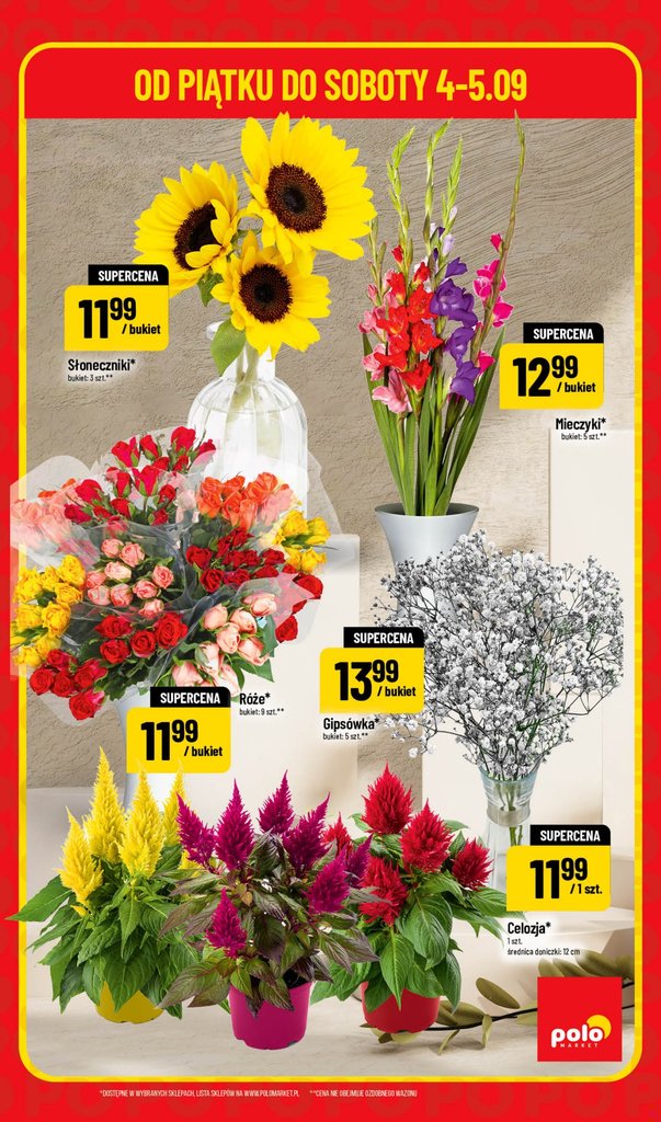 POLOmarket gazetka promocyjna 04.09-05.09.2026 — strona 5 z 6