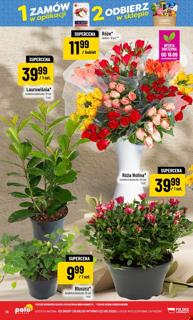 POLOmarket gazetka promocyjna 16.09-22.09.2026 — strona 16 z 72