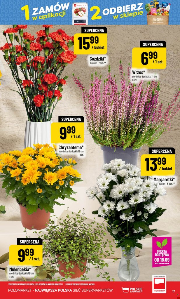 POLOmarket gazetka promocyjna 16.09-22.09.2026 — strona 17 z 72