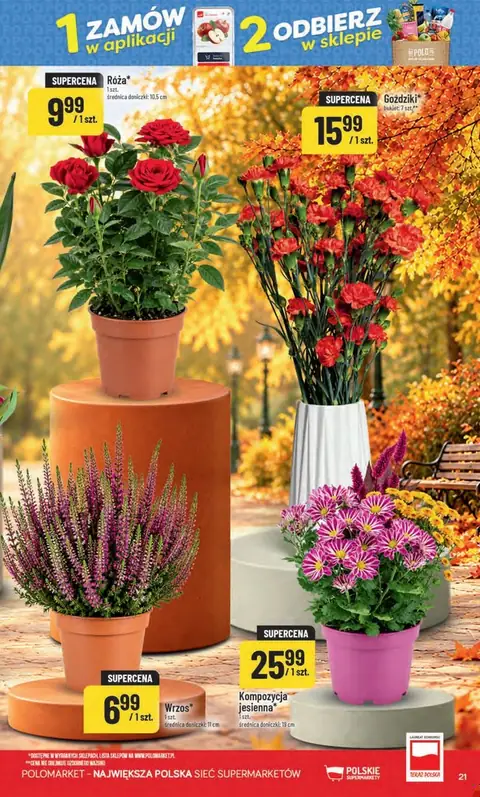 POLOmarket gazetka promocyjna 30.09-06.10.2026 — strona 21 z 66