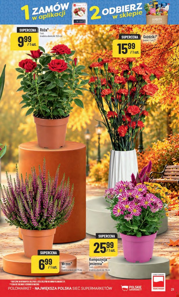 POLOmarket gazetka promocyjna 30.09-06.10.2026 — strona 21 z 66