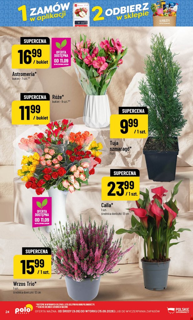 POLOmarket gazetka promocyjna 09.09-15.09.2026 — strona 24 z 72