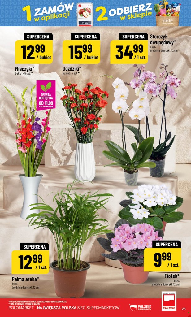 POLOmarket gazetka promocyjna 09.09-15.09.2026 — strona 25 z 72