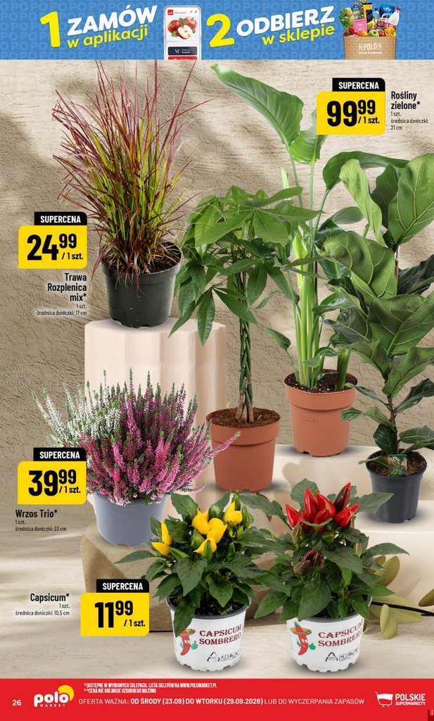 POLOmarket gazetka promocyjna 23.09-29.09.2026 — strona 26 z 76