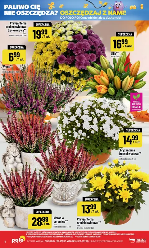 POLOmarket gazetka promocyjna 28.10-03.11.2026 — strona 4 z 49