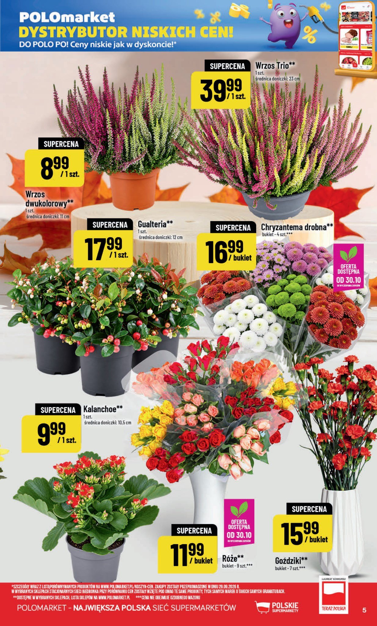 POLOmarket gazetka promocyjna 28.10-03.11.2026 — strona 5 z 49