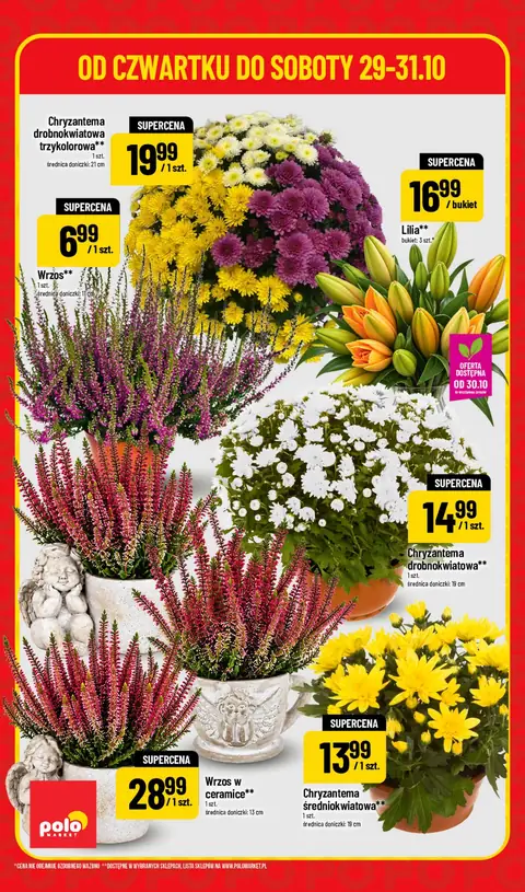POLOmarket gazetka promocyjna 29.10-31.10.2026 — strona 6