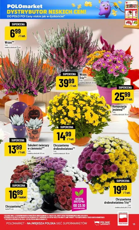 POLOmarket gazetka promocyjna 21.10-27.10.2026 — strona 13 z 75