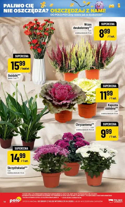 POLOmarket gazetka promocyjna 07.10-13.10.2026 — strona 14 z 80
