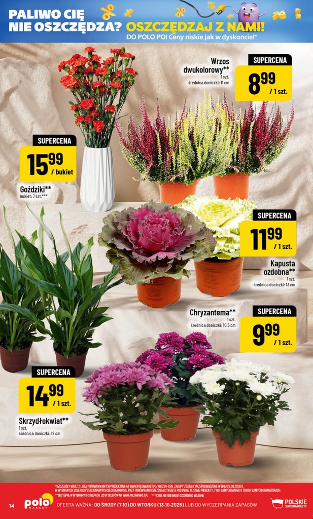 POLOmarket gazetka promocyjna 07.10-13.10.2026 — strona 14 z 80