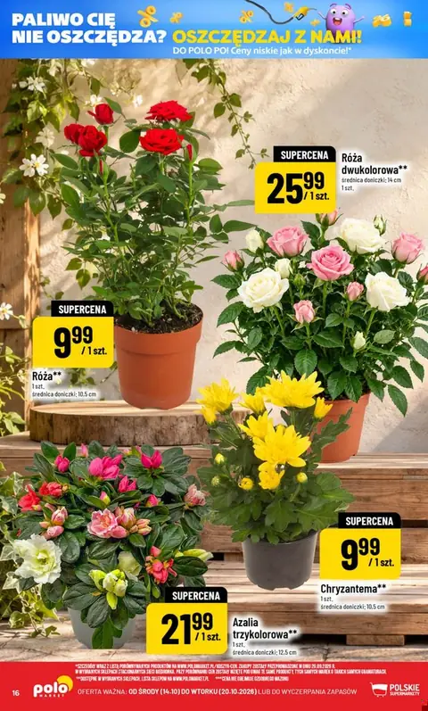 POLOmarket gazetka promocyjna 14.10-20.10.2026 — strona 16 z 68
