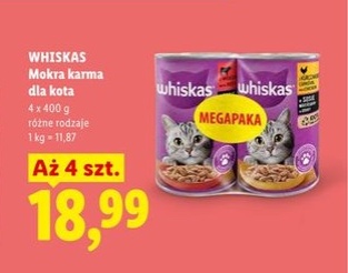 mokra karma dla kota