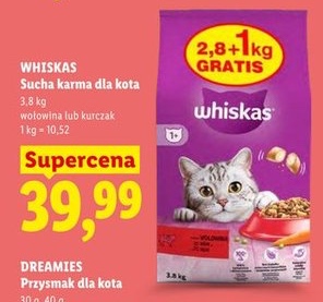 sucha karma dla kota