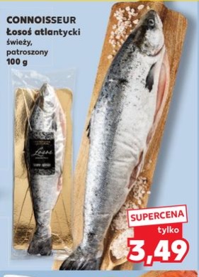 łosoś atlantycki świeży patroszony