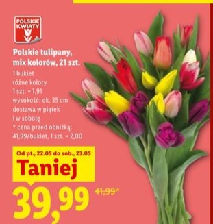 tulipany, mix kolorów