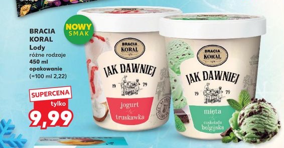 lody różne rodzaje
