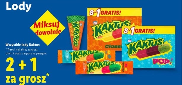 lody Kaktus różne rodzaje