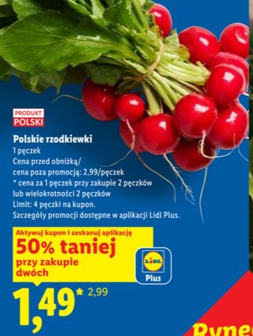 rzodkiewki