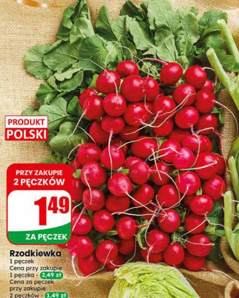 rzodkiewka