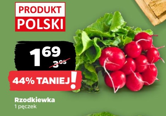 rzodkiewka
