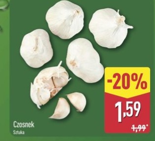 czosnek
