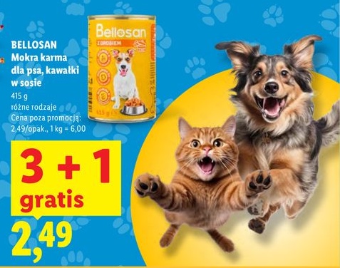 mokra karma dla psa, kawałki w sosie