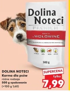 sucha karma dla psów