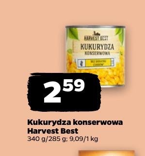 kukurydza konserwowa