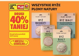 wszystkie ryże