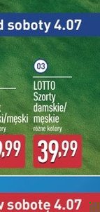szorty