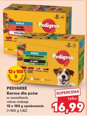 karma dla psów w saszetkach