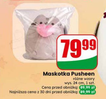 maskotka Pusheen