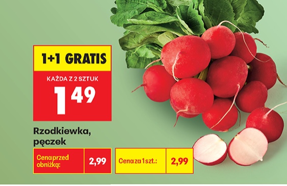 rzodkiewka