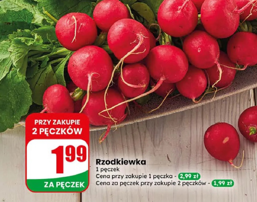 rzodkiewka