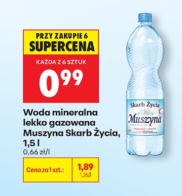woda mineralna lekko gazowana