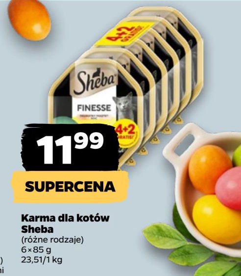 karma dla kota finesse