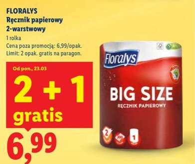 Ręcznik papierowy 2-warstwowy, big size