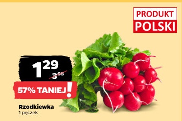 rzodkiewka