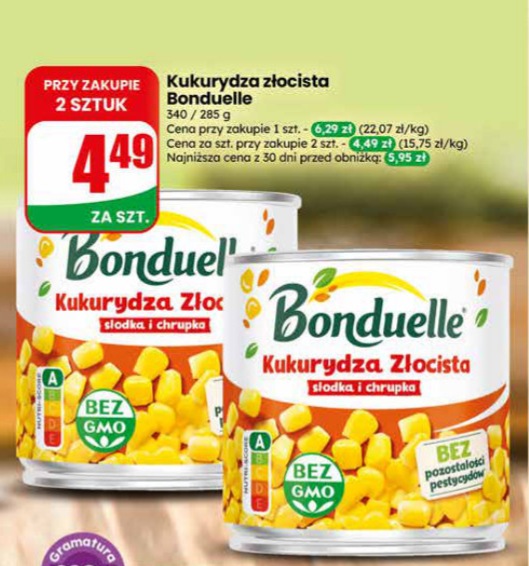 kukurydza złocista