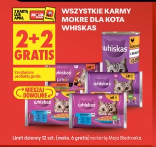 wszystkie karmy mokre dla kota