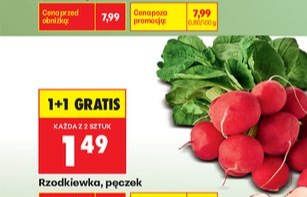 rzodkiewka pęczek