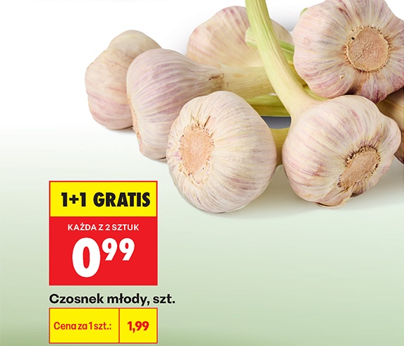 czosnek młody