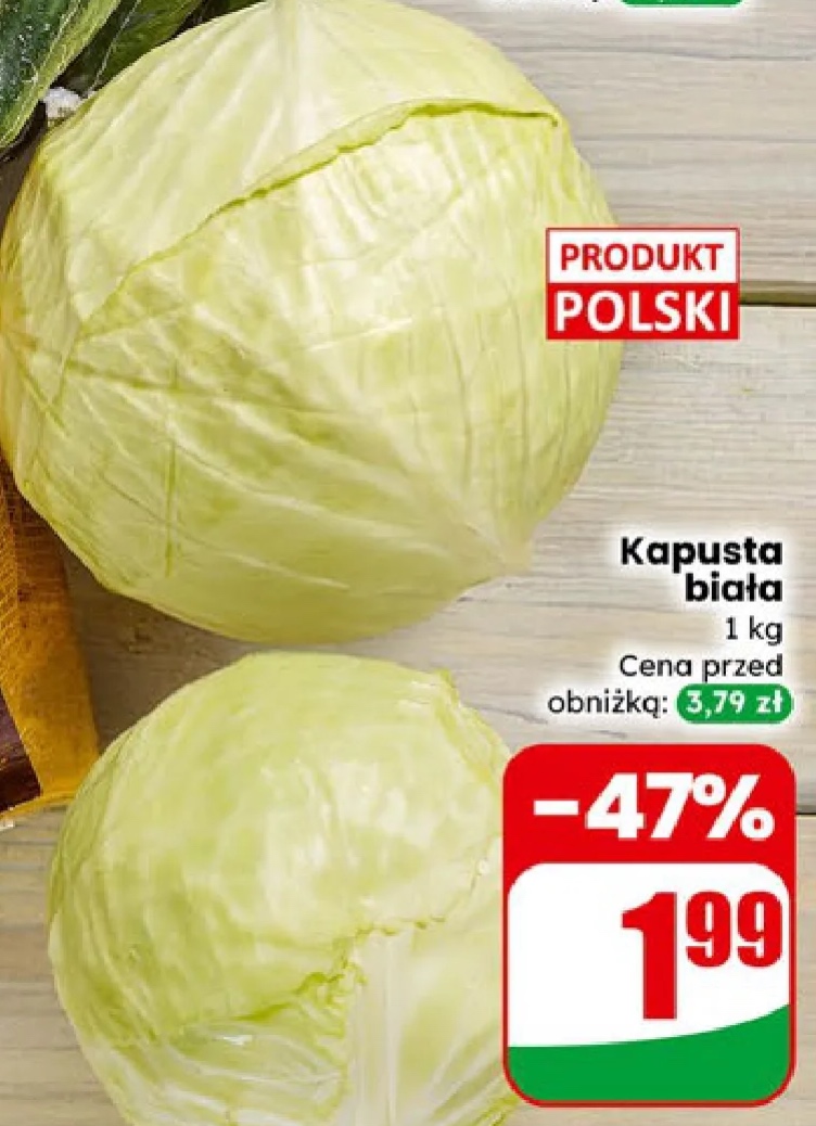 kapusta biała