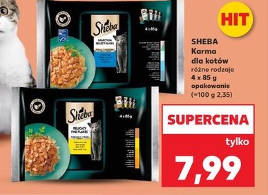 karma dla kotów