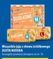 wszystkie jaja z chowu ściółkowego